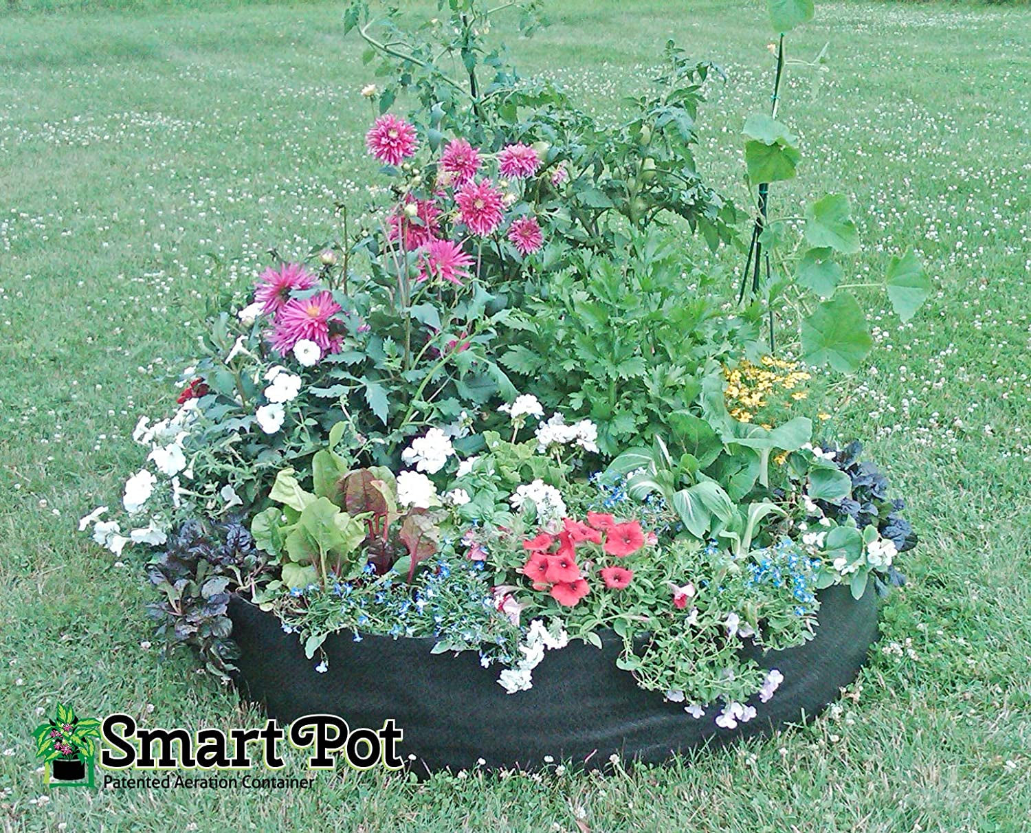 Smart Pots, Smart Pots 100511247 Big Bag Fabric Raised Bed, Original, Black